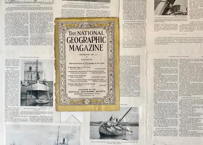 Apartament Chilliapartamenty- Zielone Tarasy- Geografic