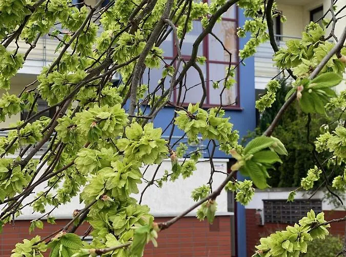 Chilliapartamenty- Zielone Tarasy- Geografic Apartament *